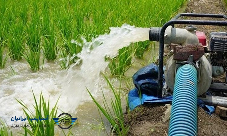 عوامل تاثیرگذار بر قیمت پمپ آب کشاورزی